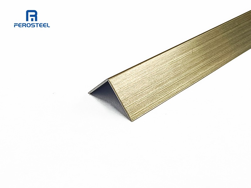 Stainless Steel L Shaped Trim 01